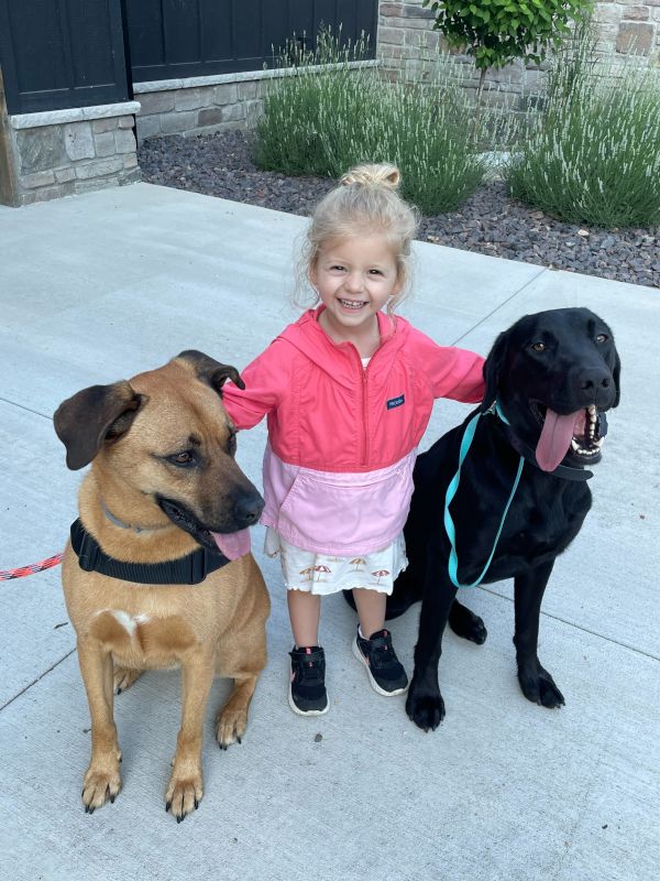 Happy Times With Stormy & Moose