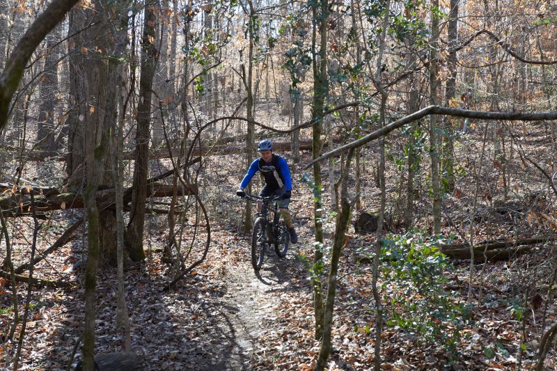 Bike Ride in the Nearby Woods