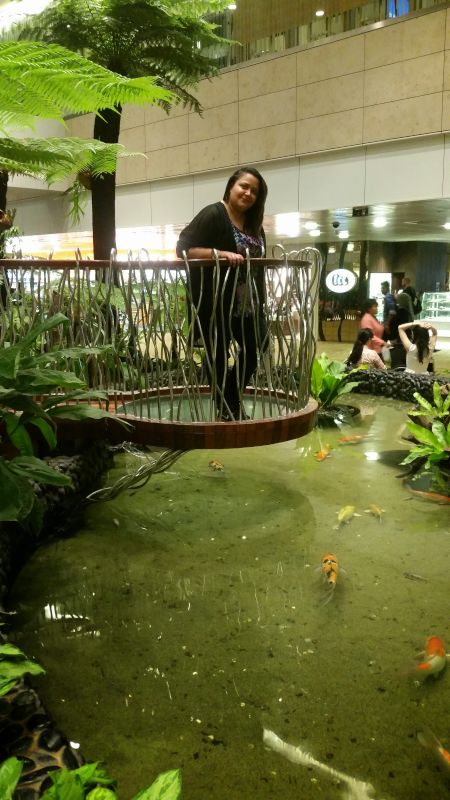 Koi Pond in Changi Airport
