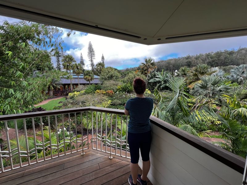 Enjoying the View in Hawaii