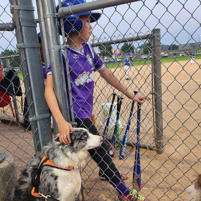 Reed's Baseball Game