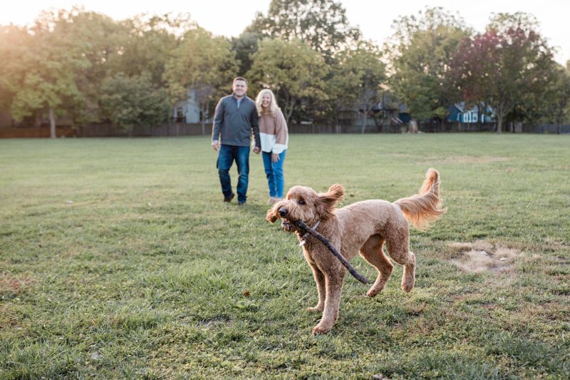 We Love Playing Fetch!