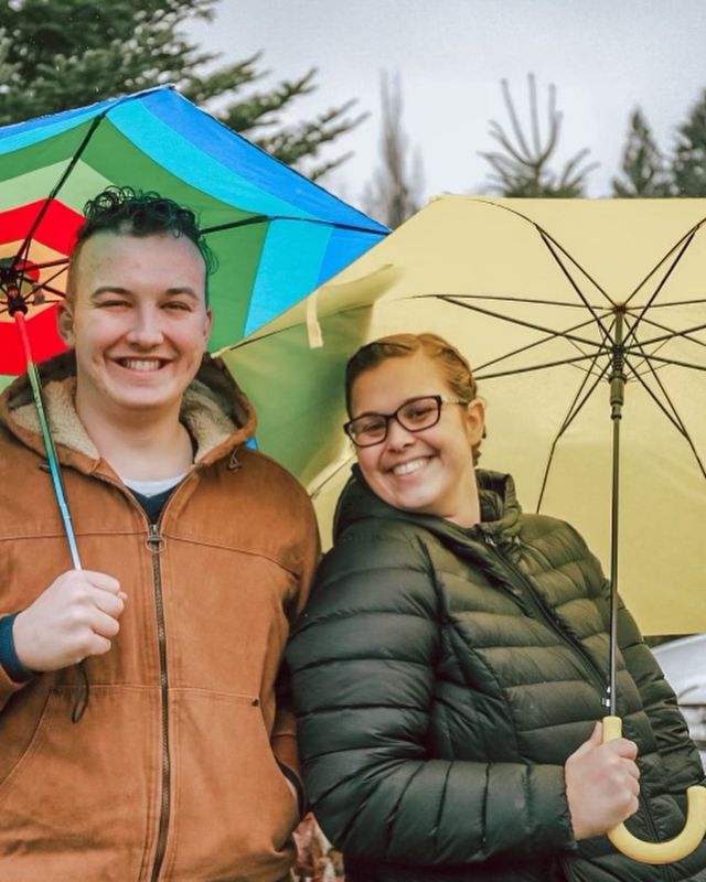 Rainy Day at the Christmas Tree Farm