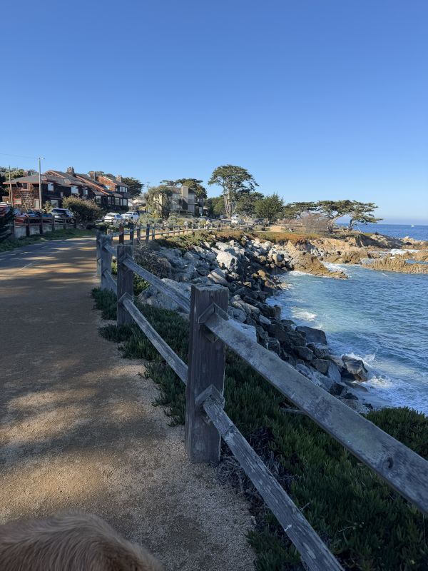 Our Favorite Local Beach