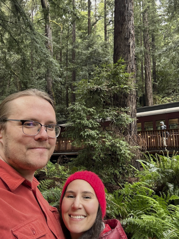 In Redwood National and State Parks
