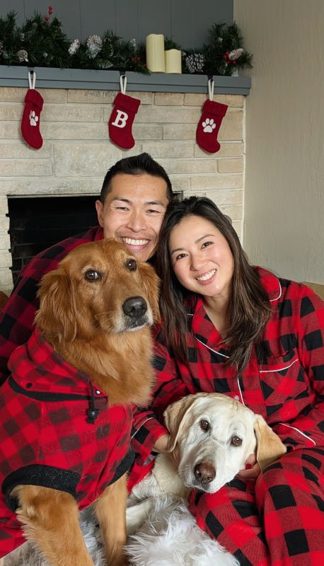 Enjoying the Holidays with Our Dogs