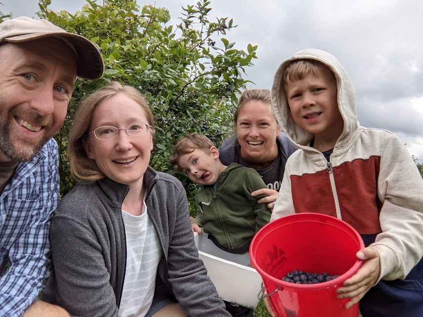 Blueberry Picking