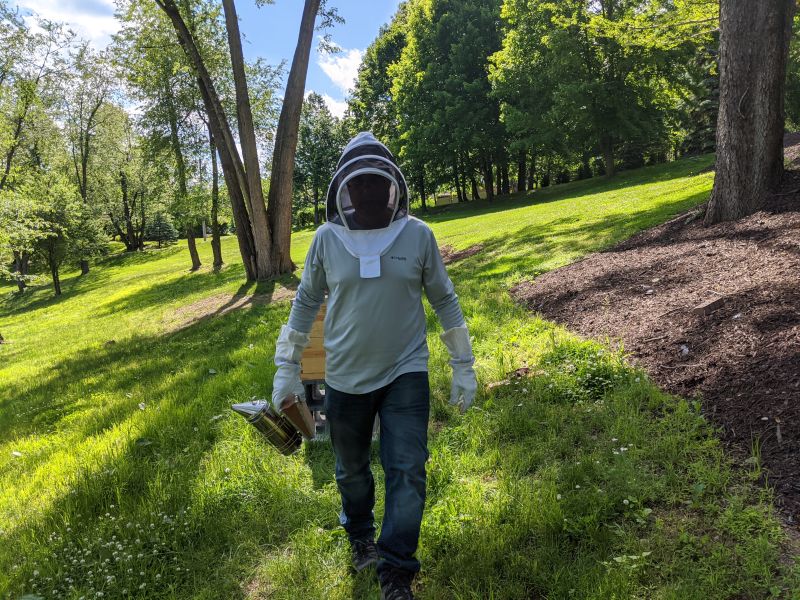 Tending to the Bees