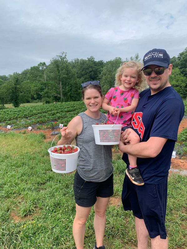 Strawberry Picking