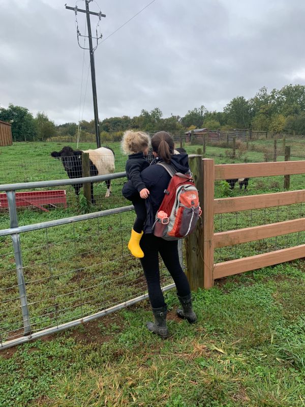 Exploring a Local Farm